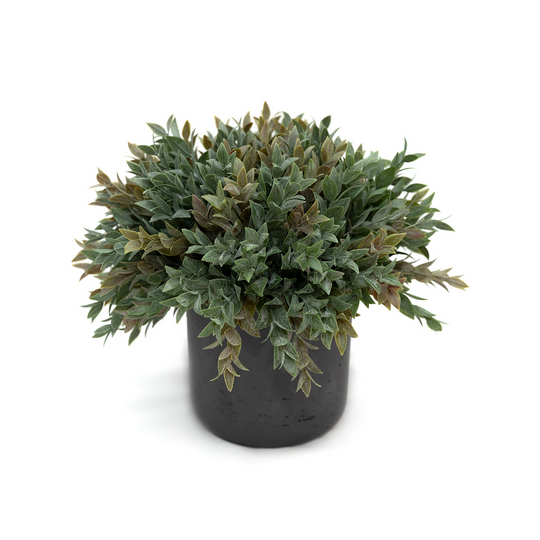 Foliage Cascade