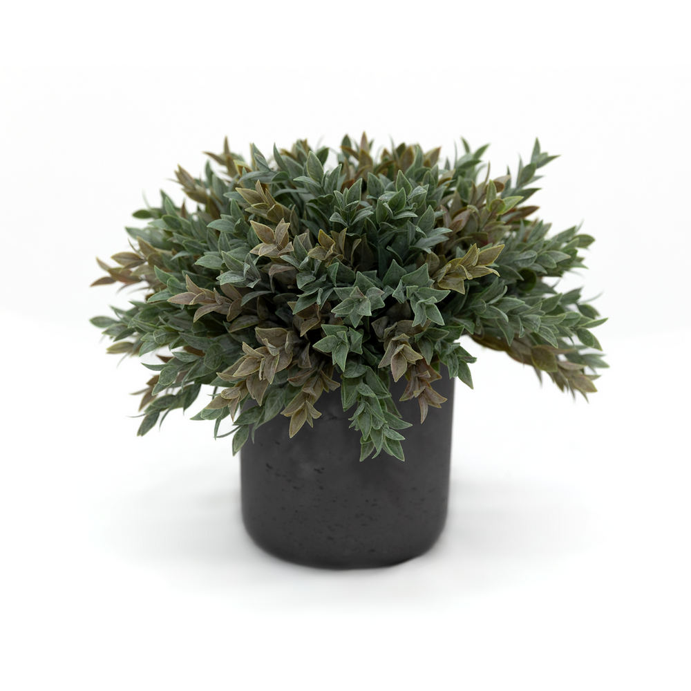 Foliage Cascade