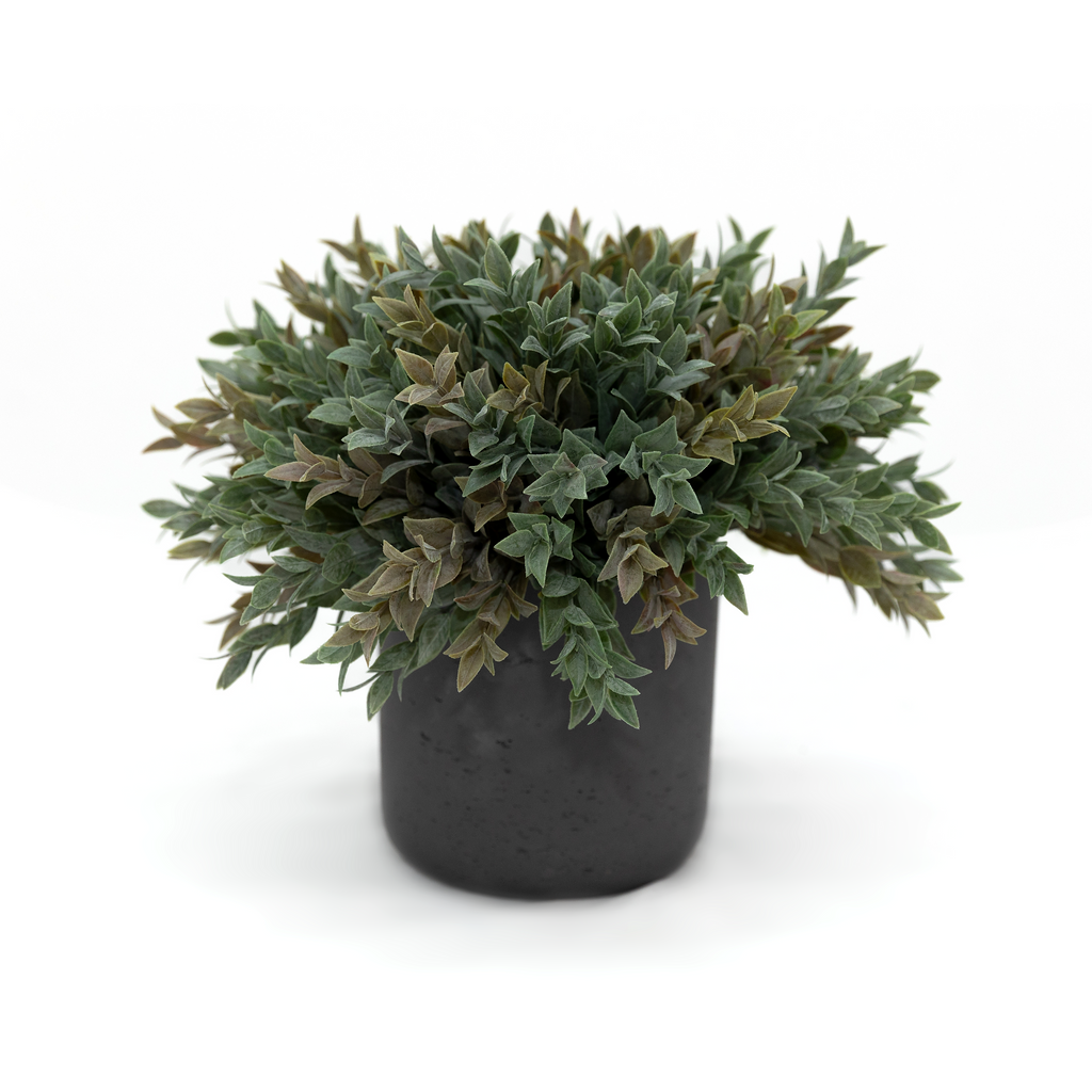 Foliage Cascade